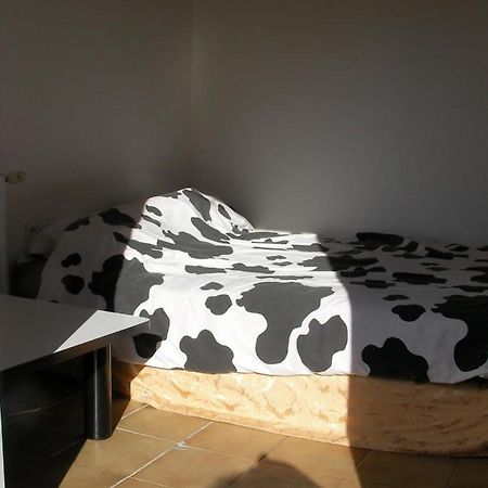 Appartement studette indépendante à Belfort Extérieur photo