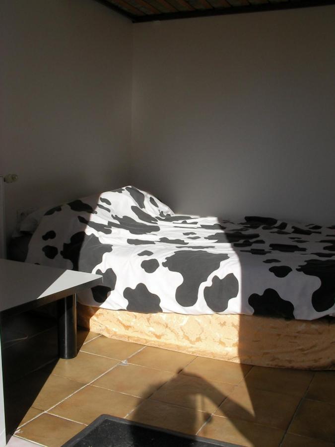 Appartement studette indépendante à Belfort Extérieur photo